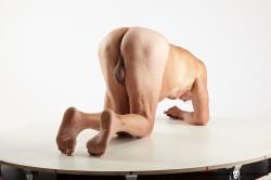 Nude Man White Kneeling poses - ALL Average Short Grey Kneeling poses - on both knees Realistic